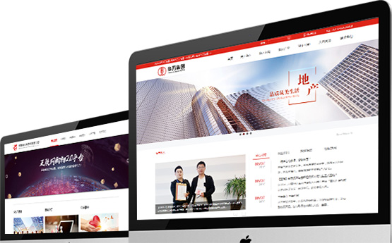 智網科(kē)技(jì )_政府門戶網站